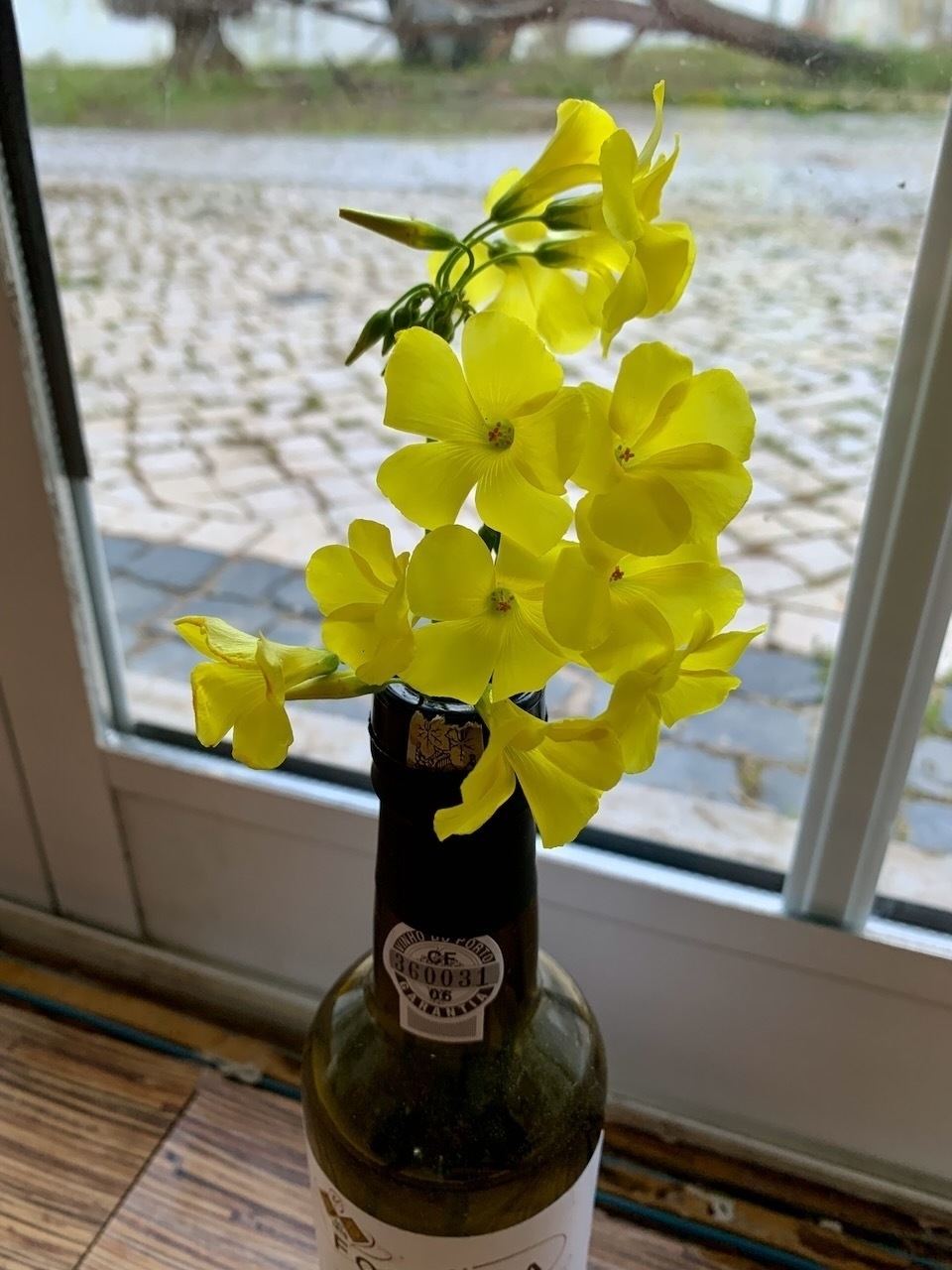 Yellow flowers in a Port bottle, next to glass-paned patio doors.