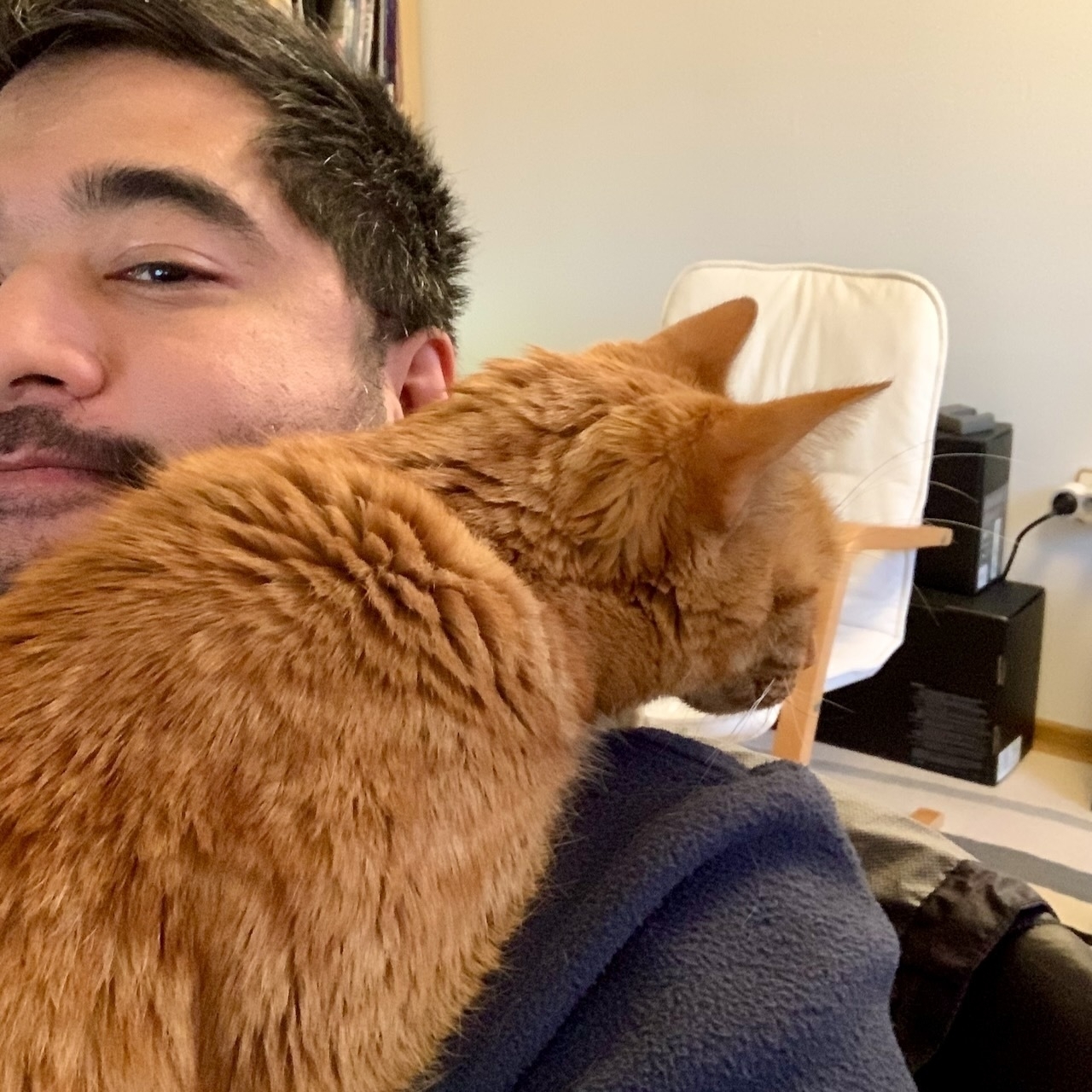 Merry the cat on Jonathan's shoulder